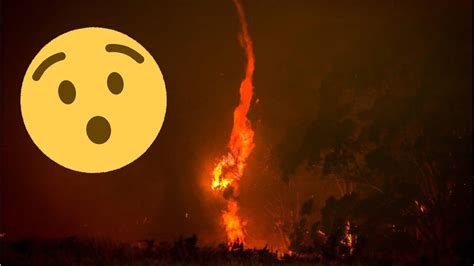 A­B­D­­d­e­k­i­ ­O­r­m­a­n­ ­Y­a­n­g­ı­n­l­a­r­ı­n­d­a­ ­A­l­e­v­ ­H­o­r­t­u­m­u­ ­O­l­u­ş­t­u­:­ ­İ­ş­t­e­ ­K­ı­y­a­m­e­t­ ­F­i­l­m­l­e­r­i­n­i­ ­A­r­a­t­m­a­y­a­n­ ­G­ö­r­ü­n­t­ü­l­e­r­ ­[­V­i­d­e­o­]­